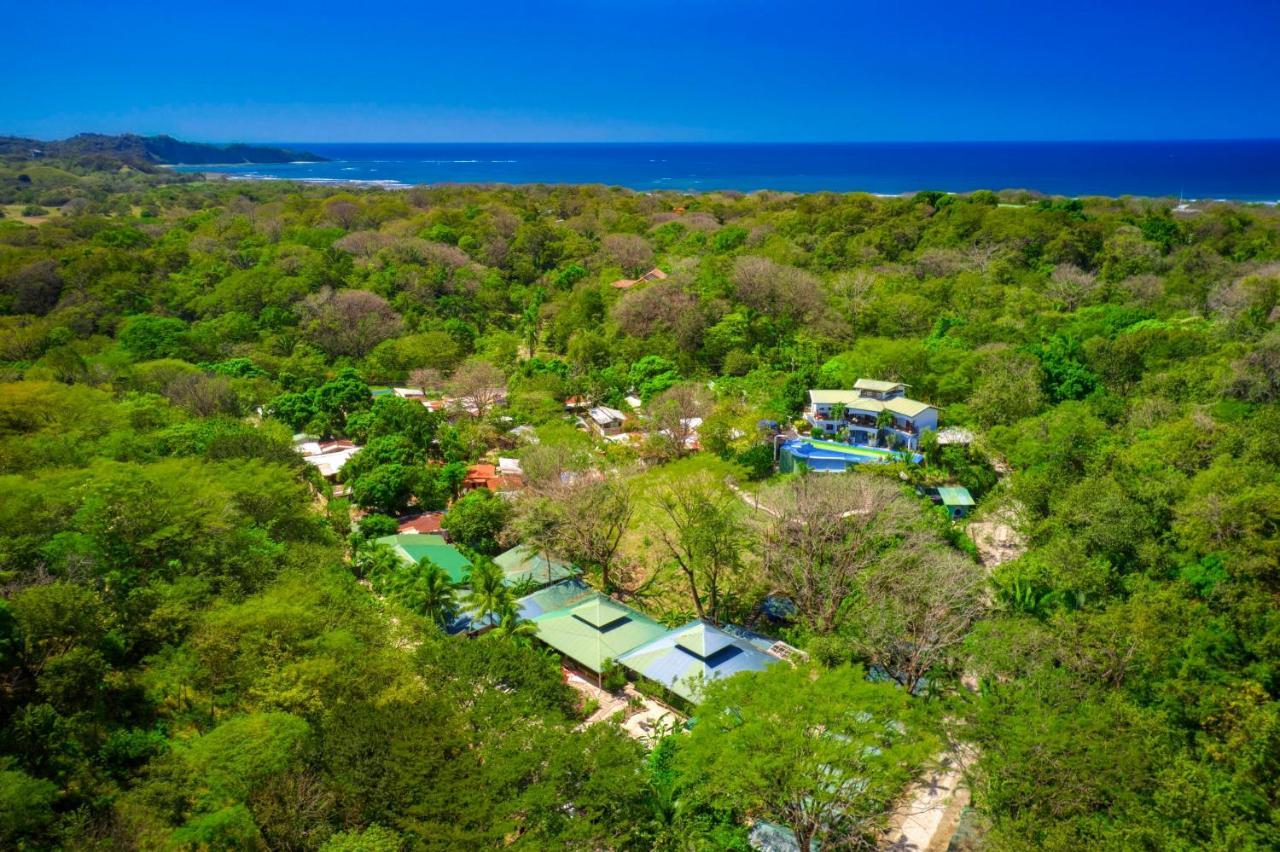 Hotel Jungle'S Edge Nosara Exteriér fotografie