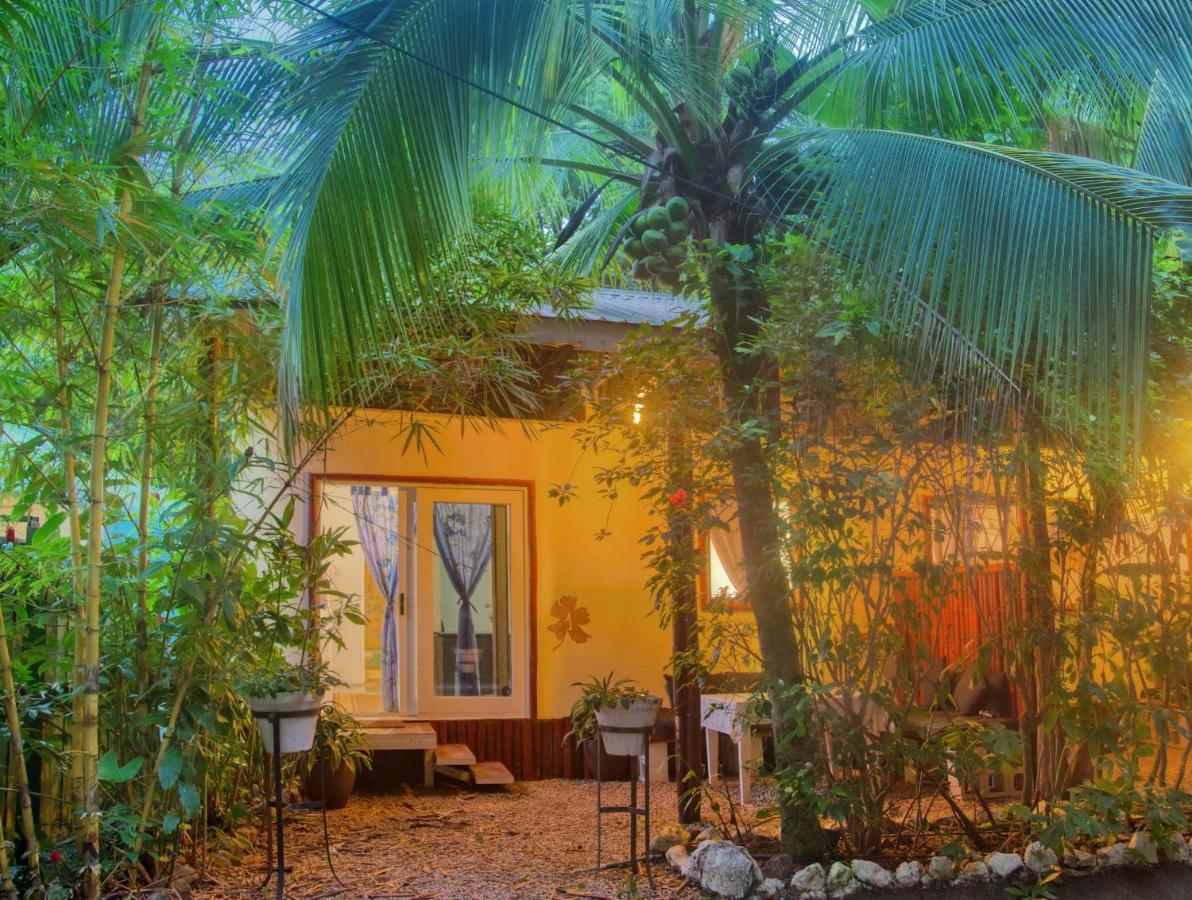 Hotel Jungle'S Edge Nosara Exteriér fotografie