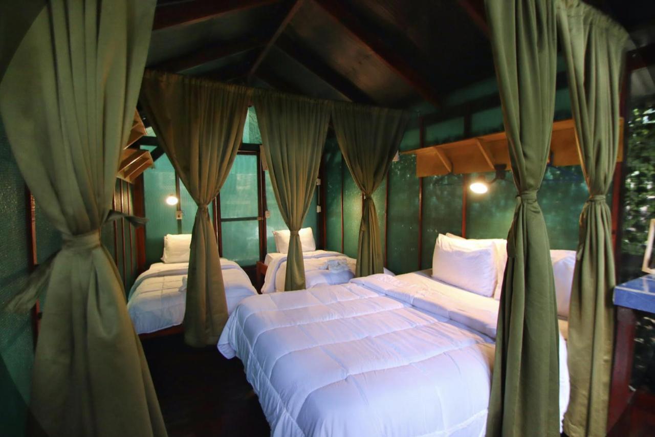 Hotel Jungle'S Edge Nosara Exteriér fotografie