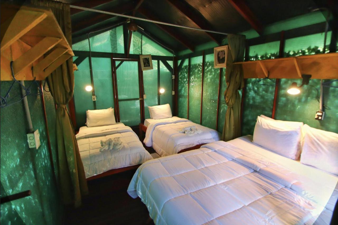 Hotel Jungle'S Edge Nosara Exteriér fotografie