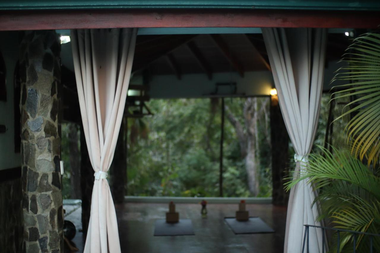Hotel Jungle'S Edge Nosara Exteriér fotografie