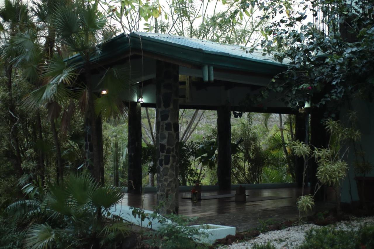 Hotel Jungle'S Edge Nosara Exteriér fotografie