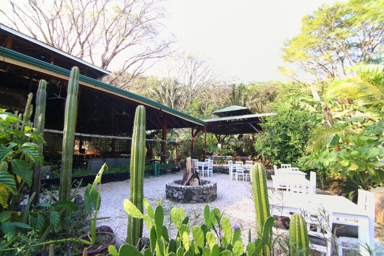 Hotel Jungle'S Edge Nosara Exteriér fotografie