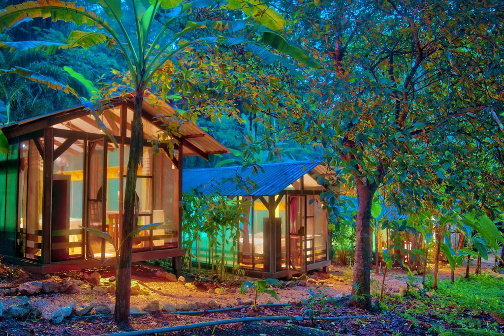 Hotel Jungle'S Edge Nosara Exteriér fotografie