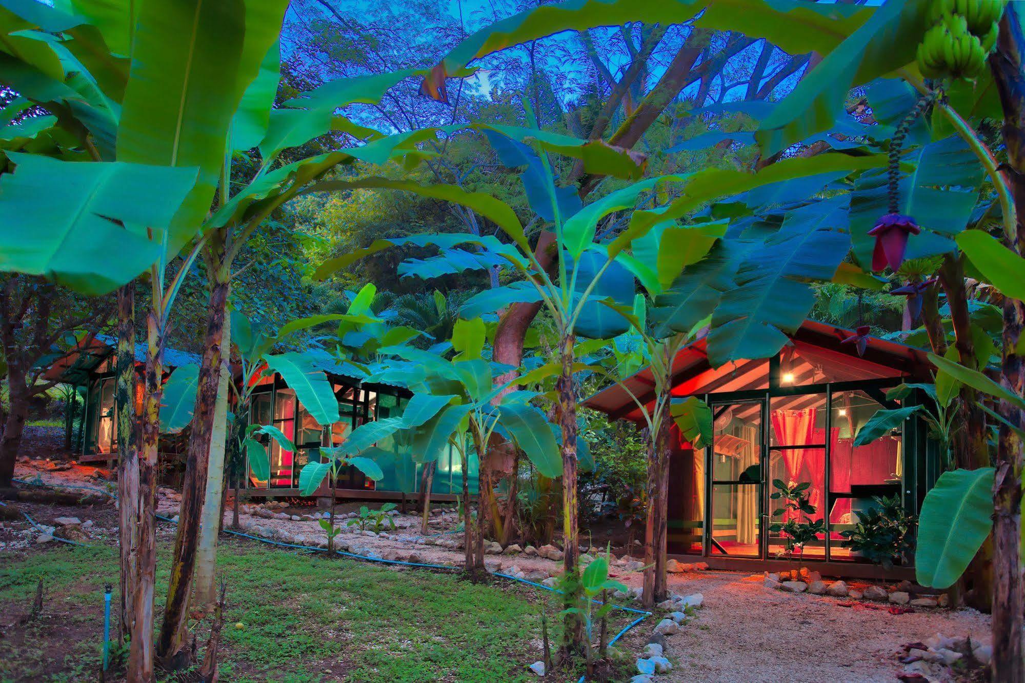 Hotel Jungle'S Edge Nosara Exteriér fotografie